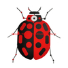 Classic Art Colorful Insects For Wall Decor
